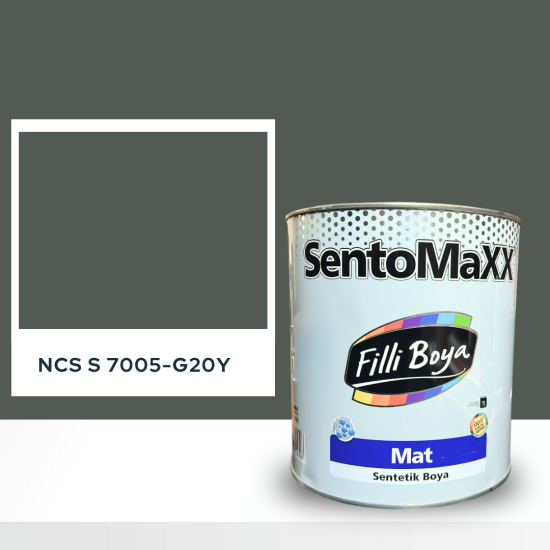 Filli Boya Sentomaxx Boya NCS S 7005-G20Y