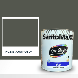 Filli Boya Sentomaxx Boya NCS S 7005-G50Y