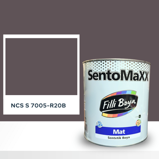 Filli Boya Sentomaxx Boya NCS S 7005-R20B
