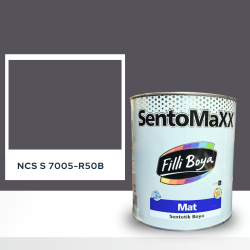 Filli Boya Sentomaxx Boya NCS S 7005-R50B
