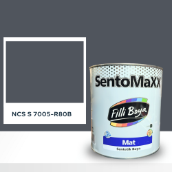Filli Boya Sentomaxx Boya NCS S 7005-R80B