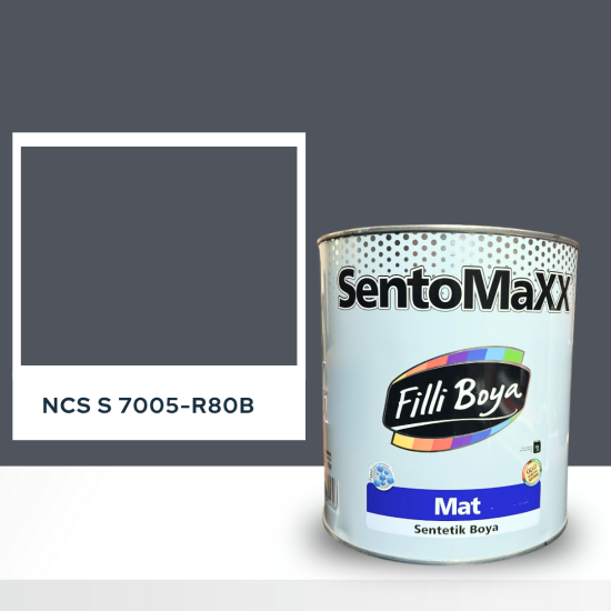 Filli Boya Sentomaxx Boya NCS S 7005-R80B Filli Boya Sentomaxx Boya NCS S 7005-R80B