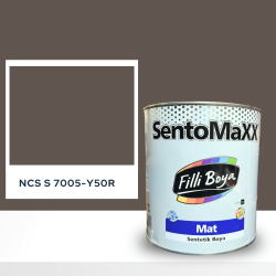 Filli Boya Sentomaxx Boya NCS S 7005-Y50R