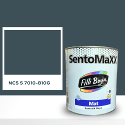Filli Boya Sentomaxx Boya NCS S 7010-B10G