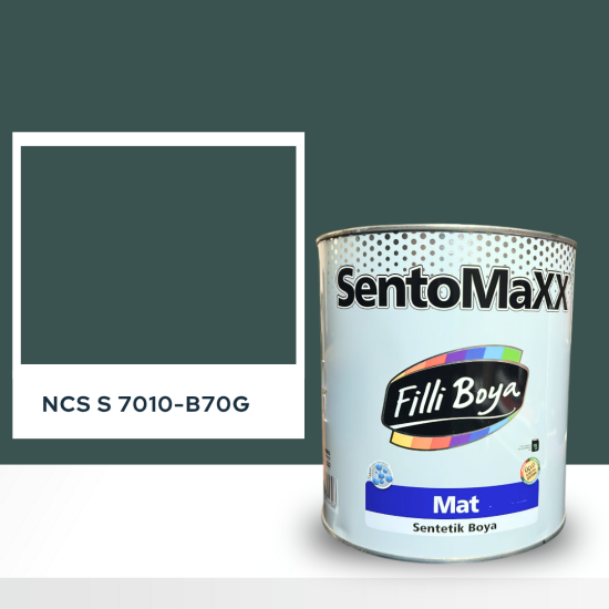 Filli Boya Sentomaxx Boya NCS S 7010-B70G