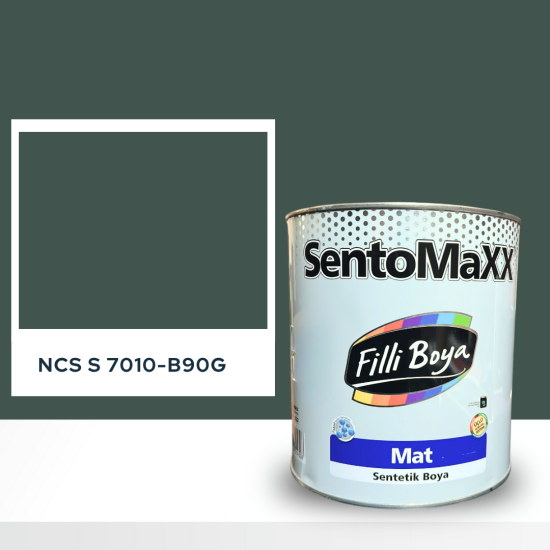 Filli Boya Sentomaxx Boya NCS S 7010-B90G