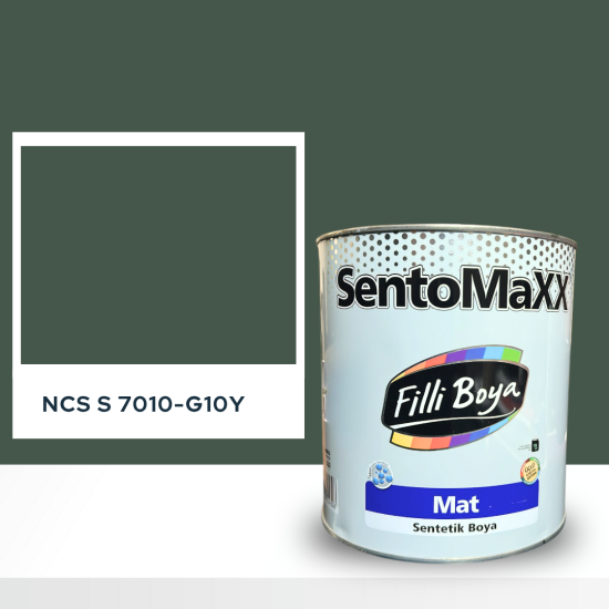 Filli Boya Sentomaxx Boya NCS S 7010-G10Y