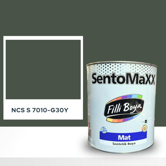Filli Boya Sentomaxx Boya NCS S 7010-G30Y Filli Boya Sentomaxx Boya NCS S 7010-G30Y