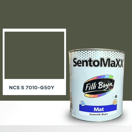 Filli Boya Sentomaxx Boya NCS S 7010-G50Y