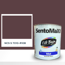 Filli Boya Sentomaxx Boya NCS S 7010-R10B