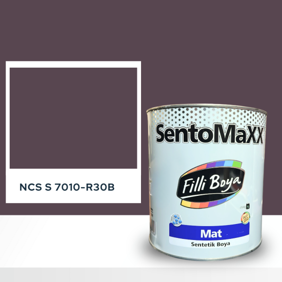 Filli Boya Sentomaxx Boya NCS S 7010-R30B