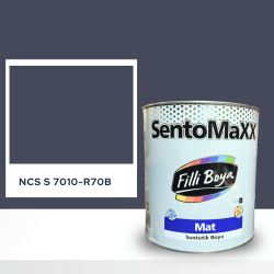 Filli Boya Sentomaxx Boya NCS S 7010-R70B