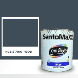 Filli Boya Sentomaxx Boya NCS S 7010-R90B