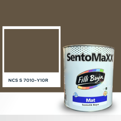 Filli Boya Sentomaxx Boya NCS S 7010-Y10R