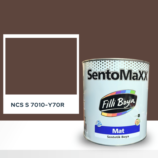 Filli Boya Sentomaxx Boya NCS S 7010-Y70R