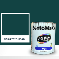 Filli Boya Sentomaxx Boya NCS S 7020-B50G
