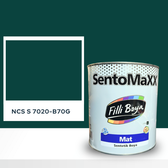 Filli Boya Sentomaxx Boya NCS S 7020-B70G