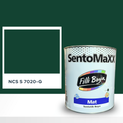 Filli Boya Sentomaxx Boya NCS S 7020-G