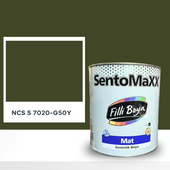 Filli Boya Sentomaxx Boya NCS S 7020-G50Y