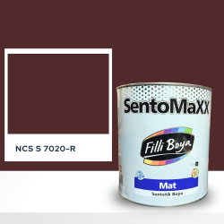 Filli Boya Sentomaxx Boya NCS S 7020-R