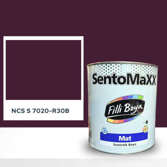Filli Boya Sentomaxx Boya NCS S 7020-R30B
