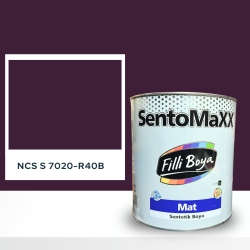Filli Boya Sentomaxx Boya NCS S 7020-R40B