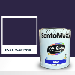 Filli Boya Sentomaxx Boya NCS S 7020-R60B