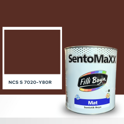 Filli Boya Sentomaxx Boya NCS S 7020-Y80R