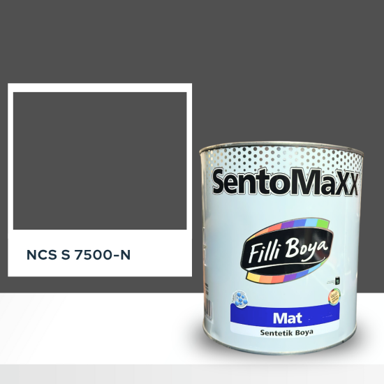 Filli Boya Sentomaxx Boya NCS S 7500-N