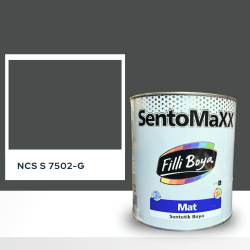 Filli Boya Sentomaxx Boya NCS S 7502-G