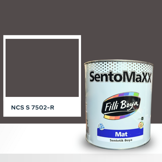 Filli Boya Sentomaxx Boya NCS S 7502-R