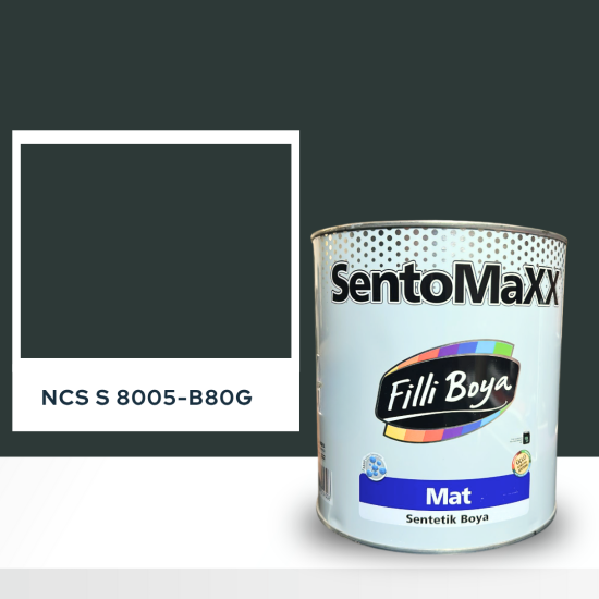 Filli Boya Sentomaxx Boya NCS S 8005-B80G
