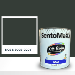 Filli Boya Sentomaxx Boya NCS S 8005-G20Y