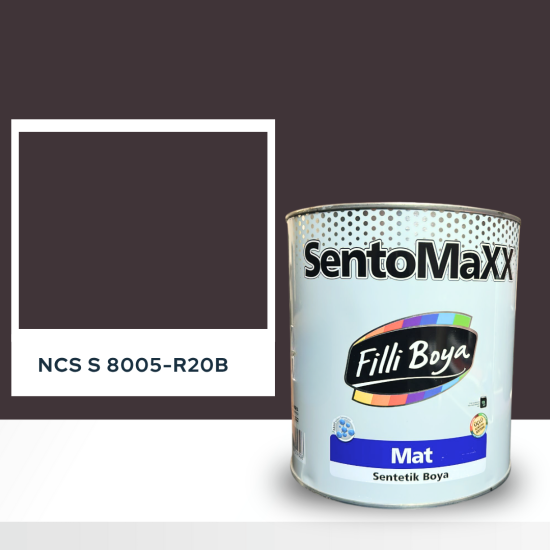 Filli Boya Sentomaxx Boya NCS S 8005-R20B