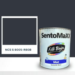 Filli Boya Sentomaxx Boya NCS S 8005-R80B