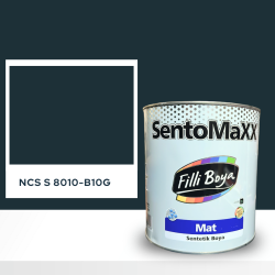 Filli Boya Sentomaxx Boya NCS S 8010-B10G
