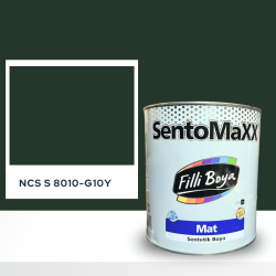 Filli Boya Sentomaxx Boya NCS S 8010-G10Y