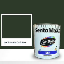Filli Boya Sentomaxx Boya NCS S 8010-G30Y