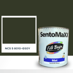 Filli Boya Sentomaxx Boya NCS S 8010-G50Y
