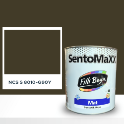 Filli Boya Sentomaxx Boya NCS S 8010-G90Y