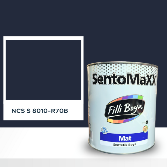 Filli Boya Sentomaxx Boya NCS S 8010-R70B