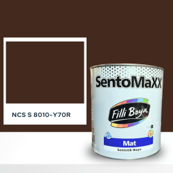 Filli Boya Sentomaxx Boya NCS S 8010-Y70R