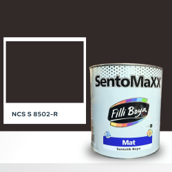 Filli Boya Sentomaxx Boya NCS S 8502-R