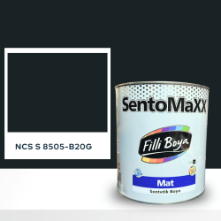 Filli Boya Sentomaxx Boya NCS S 8505-B20G