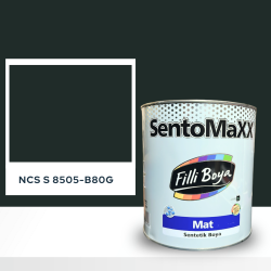 Filli Boya Sentomaxx Boya NCS S 8505-B80G