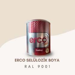 ERCO Selülozik Boya RAL 9001