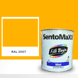 FİLLİ BOYA SENTOMAXX BOYA RAL 2007
