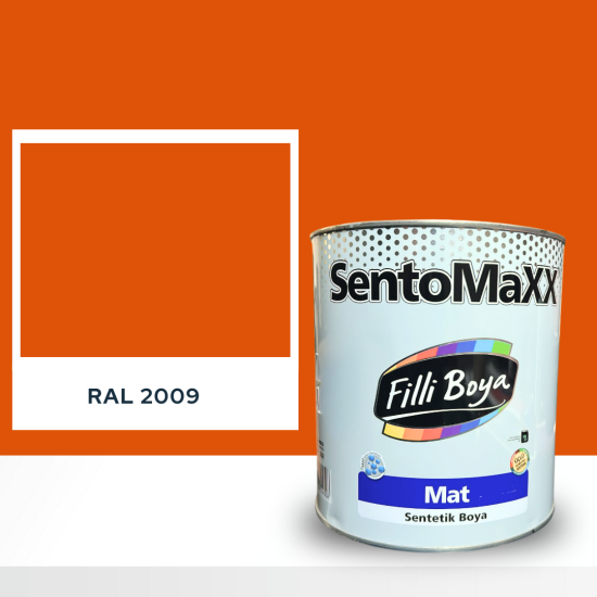 FİLLİ BOYA SENTOMAXX BOYA RAL 2009 FİLLİ BOYA SENTOMAXX BOYA RAL 2009