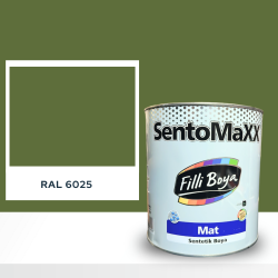 FİLLİ BOYA SENTOMAXX BOYA RAL 6025