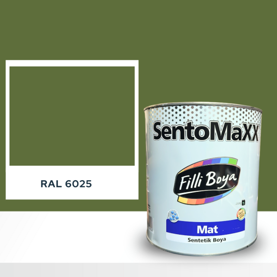 FİLLİ BOYA SENTOMAXX BOYA RAL 6025 FİLLİ BOYA SENTOMAXX BOYA RAL 6025